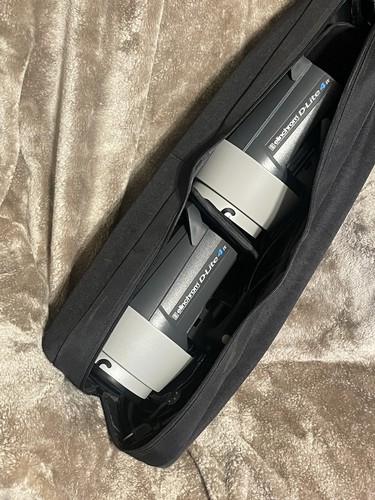 Due luci elinchrom - elinchrom, d-lite