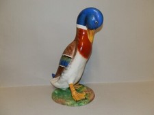 Zaccagnini, germano reale