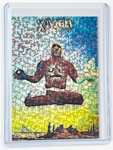 Xavier edizione limitata - xavier,