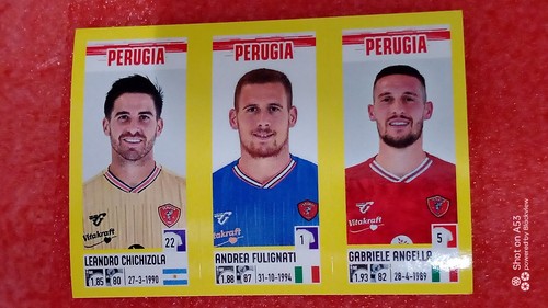 Figurine calciatori panini - figurine,