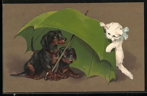 Cartolina artista bassotto - cartolina, d'artista