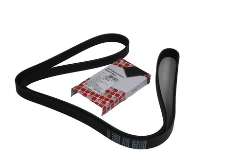 Cinghia multi ribbed 2 - cinghia, 2,2