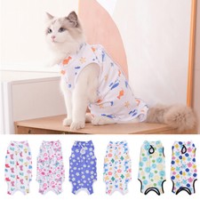 Tuta recupero cane animale