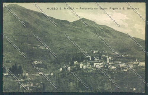 Biella mosso santa - biella,