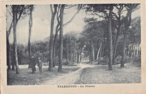Cartolina viareggio - ,