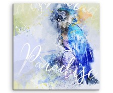 Ara blu 60x90 cm con