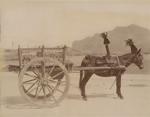 Palermo carro siciliano - palermo,,