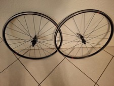 Bontrager paradigma comp TLR