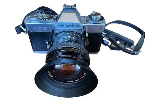 Rara minolta argento - rara, +