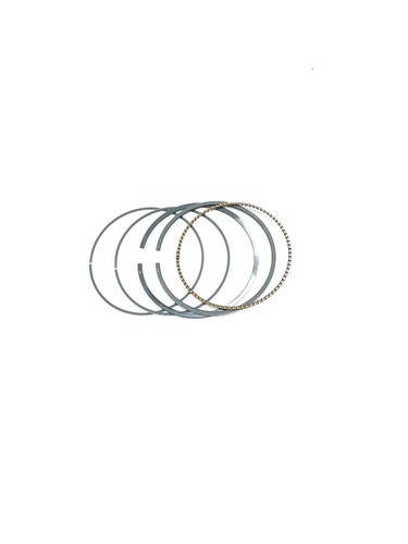 00113041 serie fasce segmenti - 00113041,