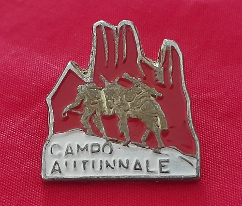 Pin spilla alpini campo - alpini,