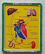 Placca metallo IL CORPO UMANO