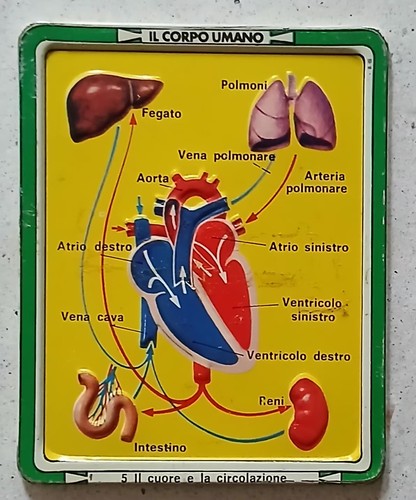 Placca metallo corpo - il,