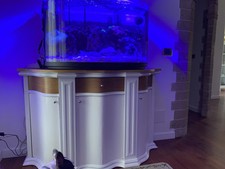 Acquario Curvo Lt 200 Con  filtro esterno  completo di skimmer
