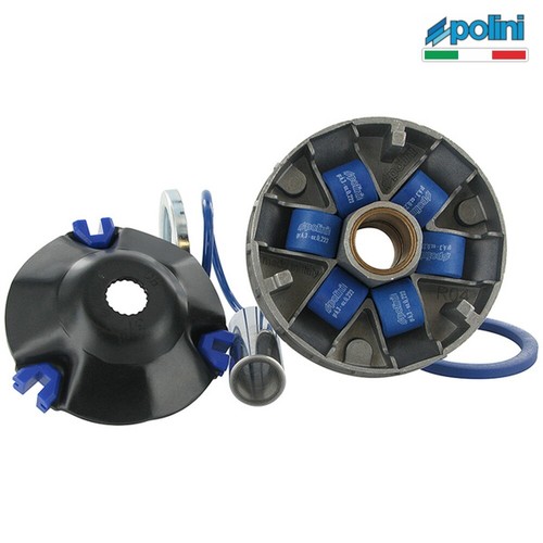 P241672 polini variatore - polini,