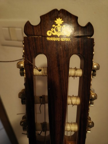 Takeharu guitar 300 - takeharu, gt-300