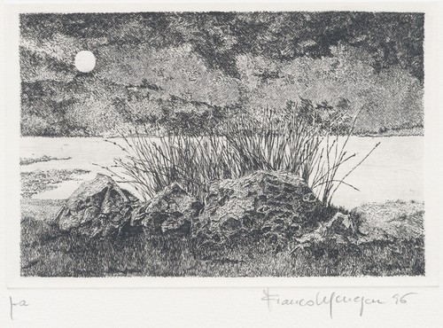 Menegon franco cespuglio - menegon,