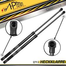 2 molle a gas ammortizzatori