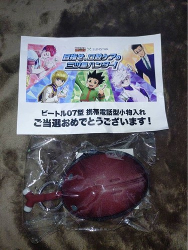 Hunter beetle - hunter×hunter,