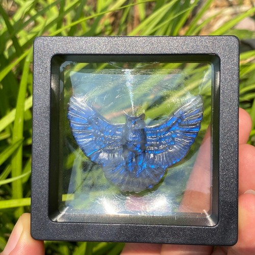 Gufo labradorite naturale - , 2"