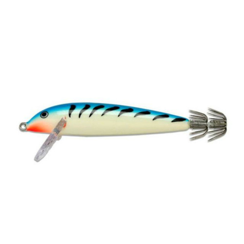 Totanara rapala squid - totanara,