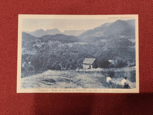 Cartolina biade nei dintorni - cartolina,