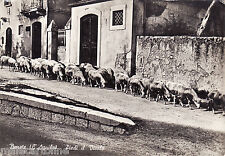 #BARETE: PIEDI IL VICOLO