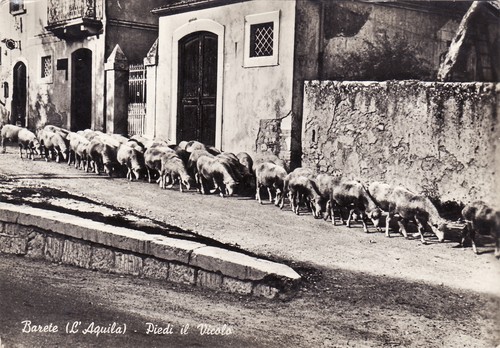 Barete piedi il vicolo - piedi,