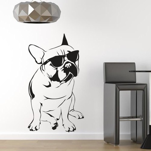 Bulldog francese che - , indossa