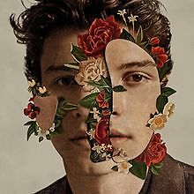 Shawn Mendes von Mendes,Shawn