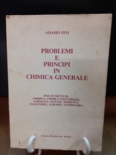FINI - PROBLEMI E PRINCIPI IN