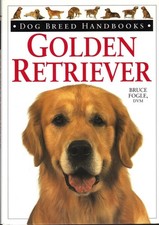 Golden Retriever Dog Breed