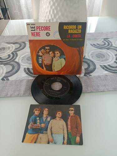Pecore nere ricordo - pecore,
