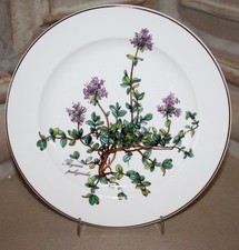 Piatto colazione Villeroy & Boch V&B Botanica Ø 21 cm piatto torta SENZA RADICI