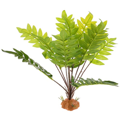 Piante decorazioni per - di,
