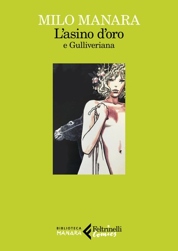 Asino oro gulliveriana - asino, (l')