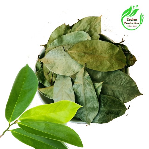 Foglie soursop essiccate - foglie,