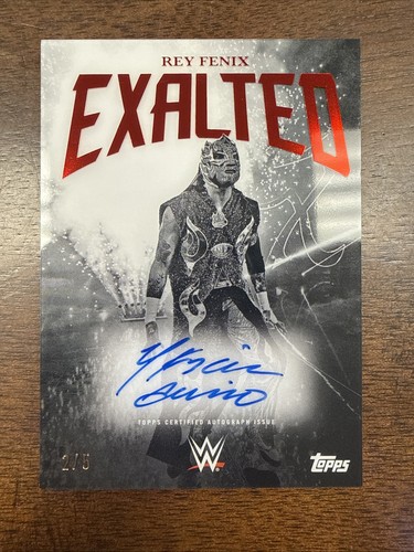 2025 wwe exalted - 2025,