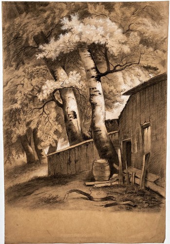 Capannone con alberi - capannone,