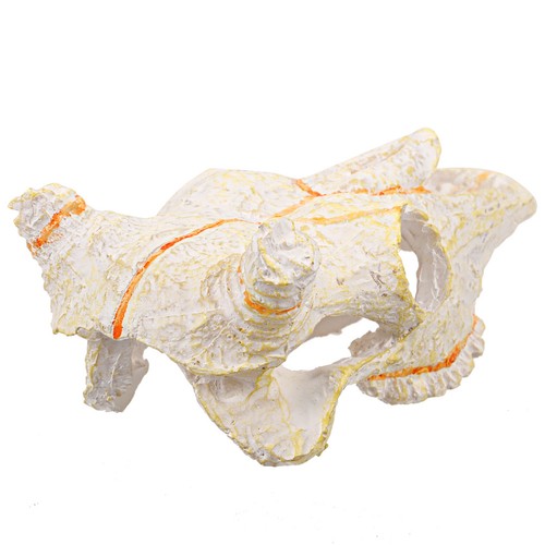 Accessorio serbatoio rettili
