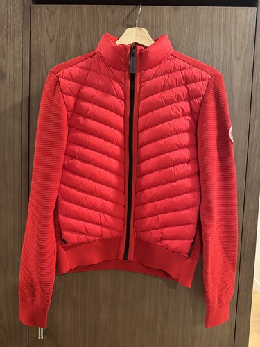 Canada goose hybridge - canada,