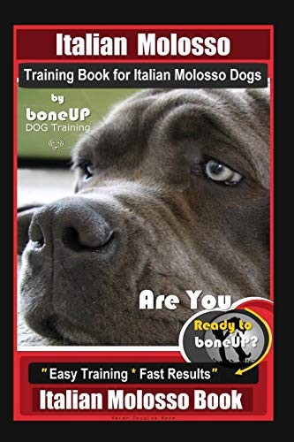 Italian molosso training - italian,