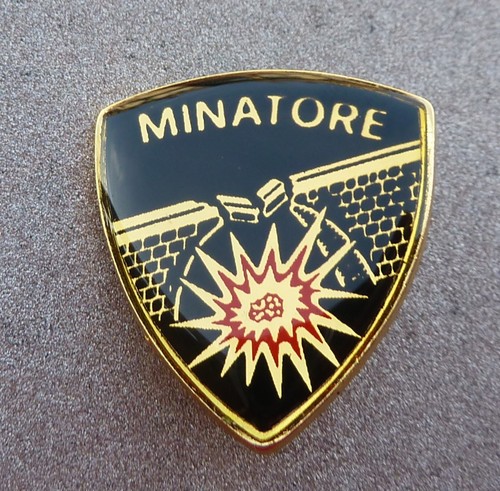 Distintivo vetrificato - distintivo,