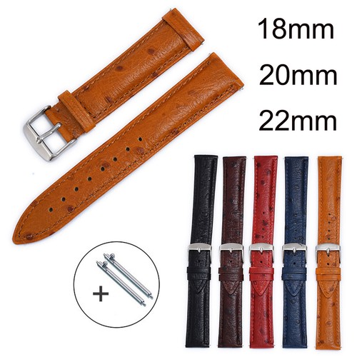 Cinturino orologio modello
