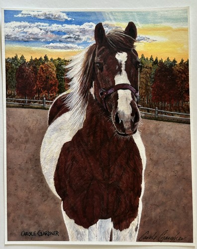 Cavallo dipinto 10 - cavallo,