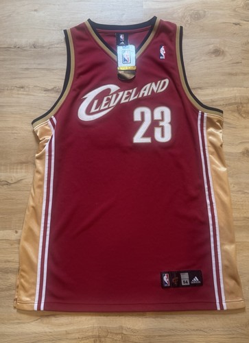 Cleveland cavaliers lebron - cavaliers,