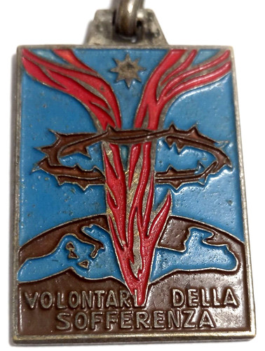 Medaglia volontari della - volontari,