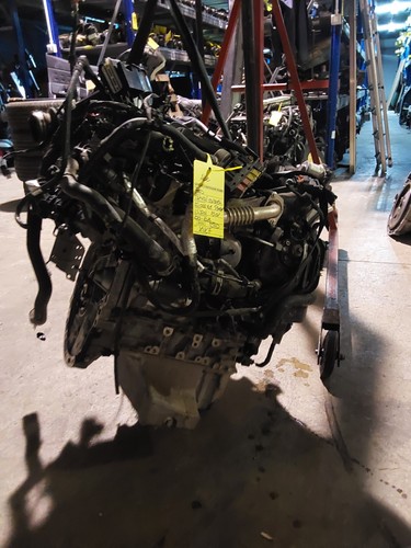 Motore ford transit courier - motore,