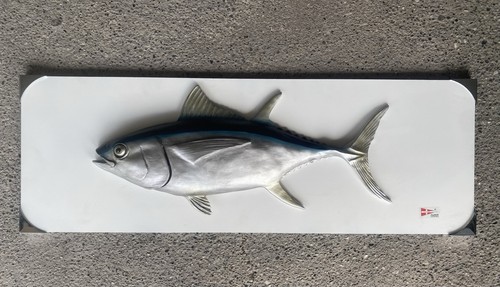 Quadro tonno marine - 3d,