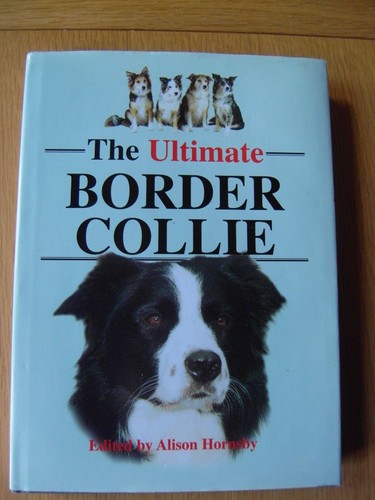 The ultimate border collie - the,